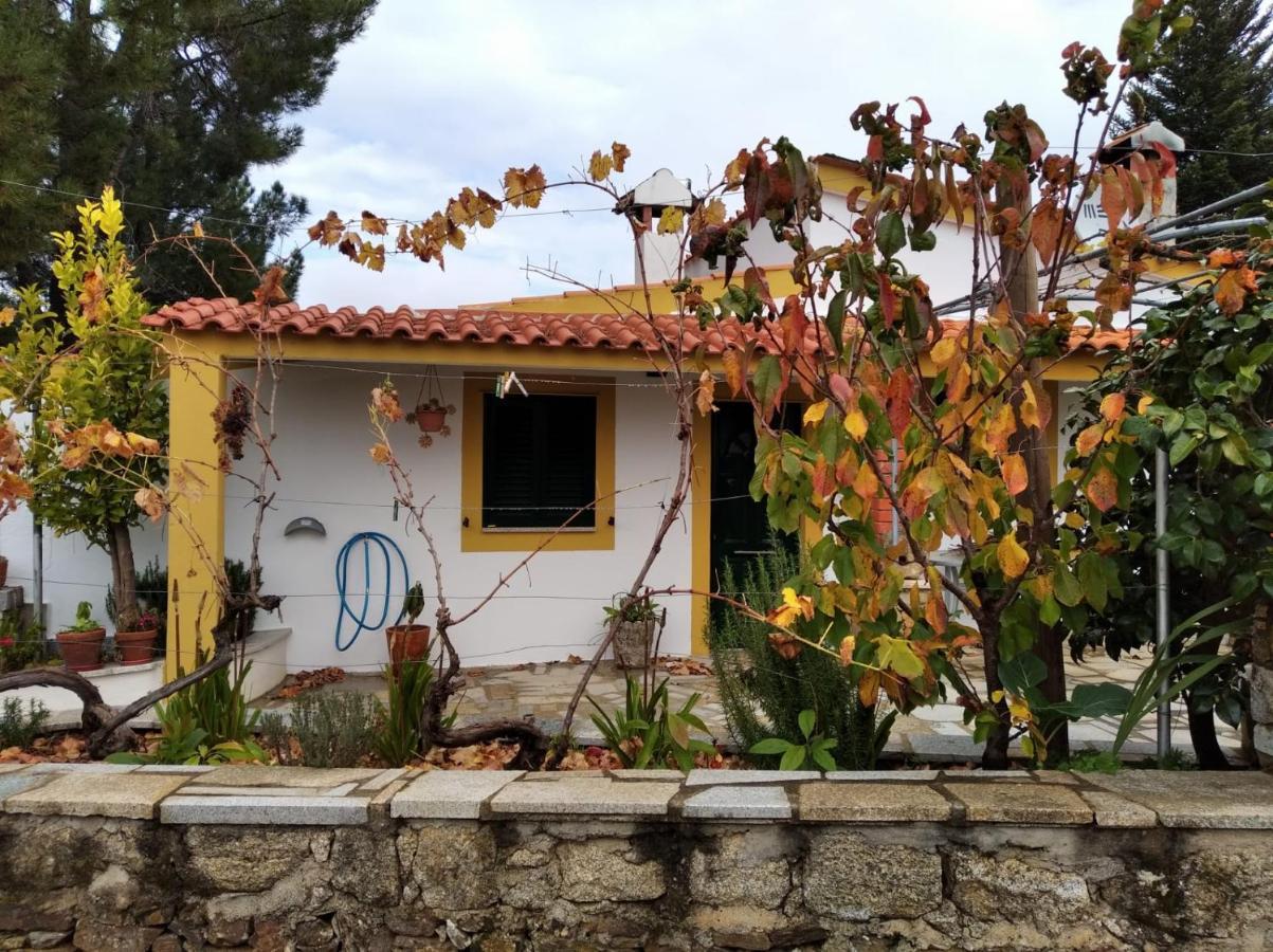 Casas De Campo Em Cerejal Villa Fundao Luaran gambar