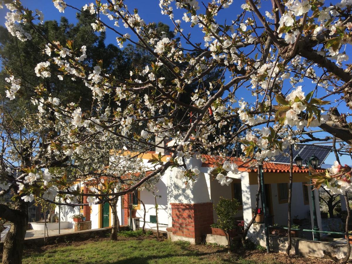 Casas De Campo Em Cerejal Villa Fundao Luaran gambar