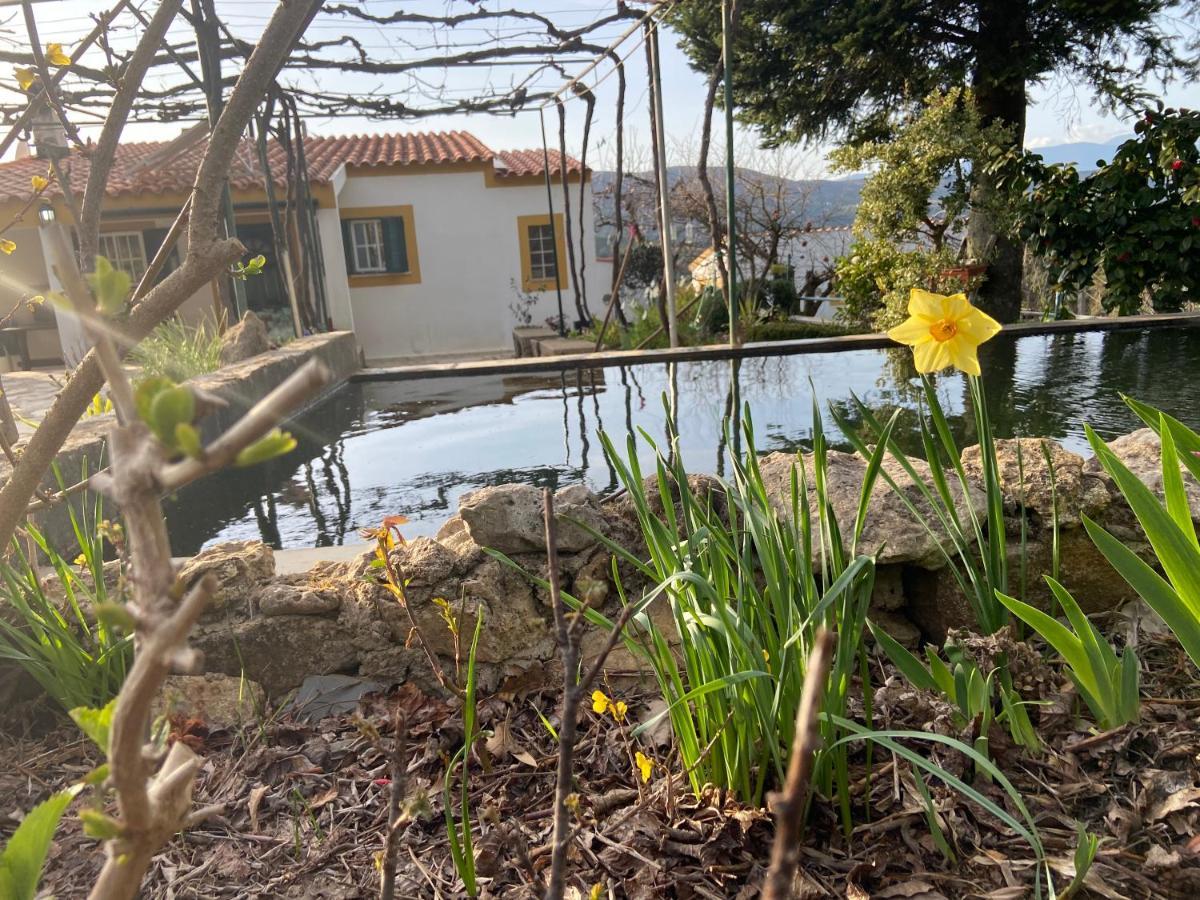 Casas De Campo Em Cerejal Villa Fundao Luaran gambar